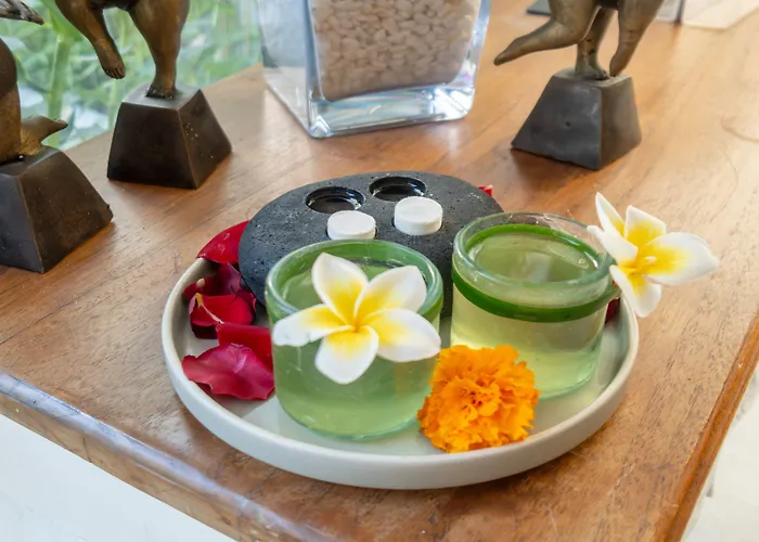 Aleva By Ini Vie Hospitality Villa Seminyak (Bali)